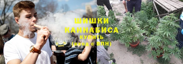 a pvp Абаза