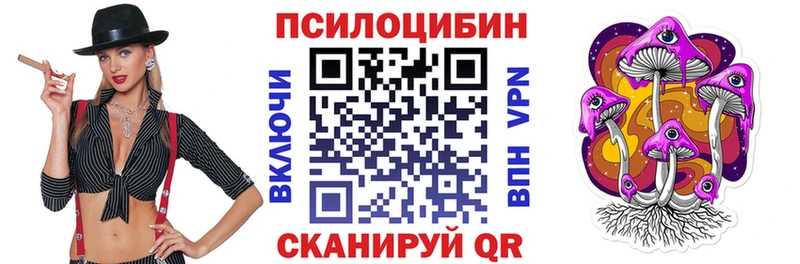 купить наркоту  Карабаново  Псилоцибиновые грибы GOLDEN TEACHER 